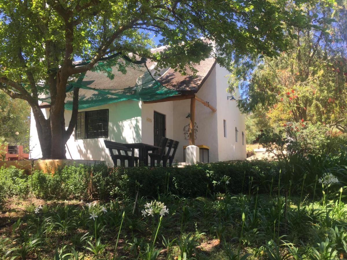Mooi Bly Villa Парл Екстериор снимка